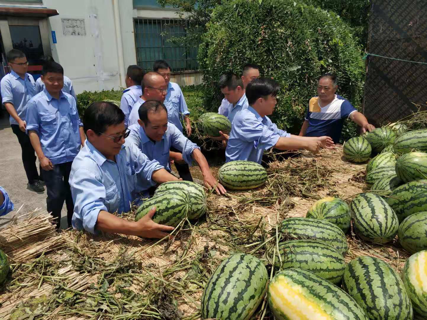 第47頁_新聞中心_蕪湖造船廠有限公司
